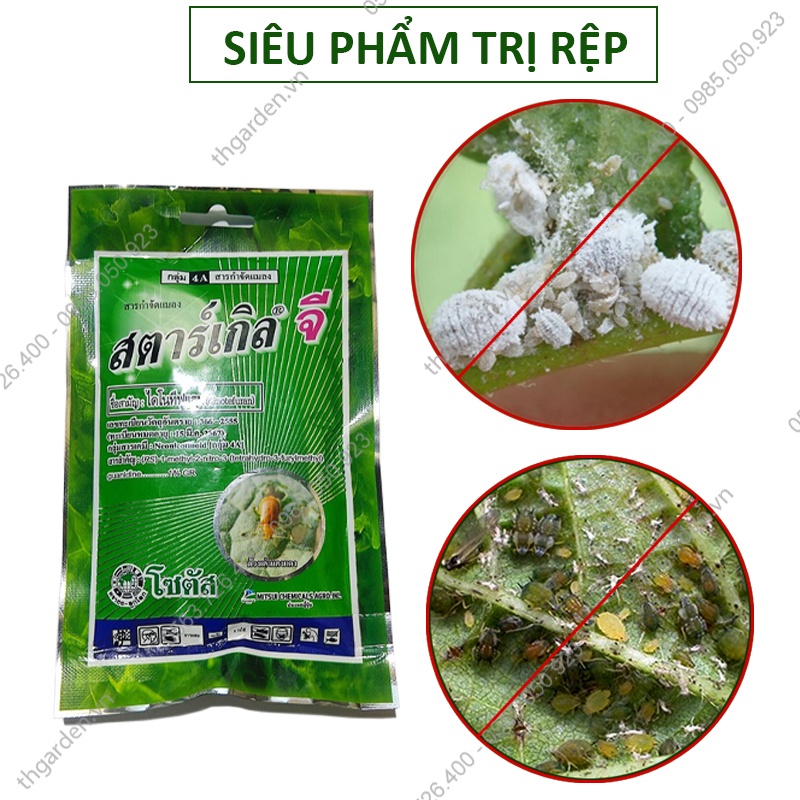 Thuuốc trị rệp sáp thái lan - thuuốc diệt rệp cây cảnh p4u - diệt rệp côn trùng có hại cho cây - an toàn hiệu quảp4u