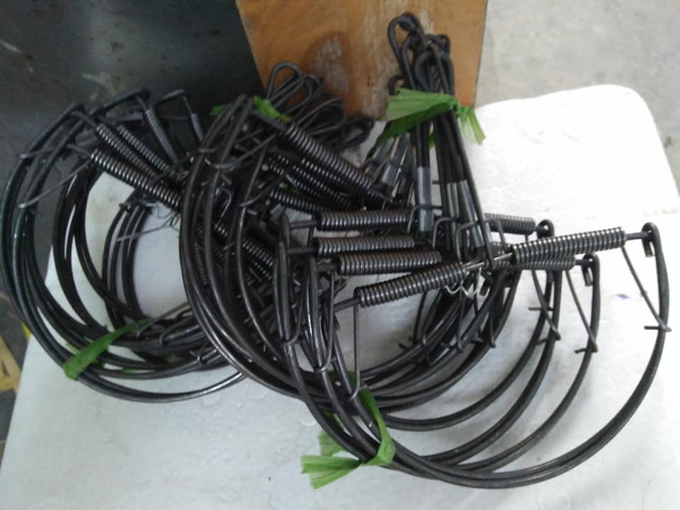 Combo 10 bẫy chuột bán nguyệt lớn 15 cm