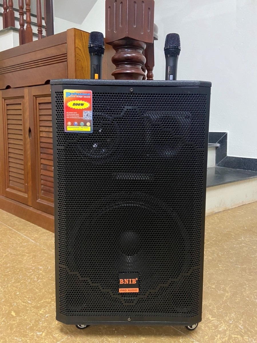 Loa karaoke bluetooth công suất lớn giá rẻ, Bass căng, ấm không rè. kết nối tivi, Mic hút âm, chống hú rít. Hát bao phê, bảo hành 1 năm