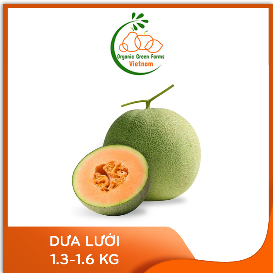 - dưa lưới - giao nhanh hcm
