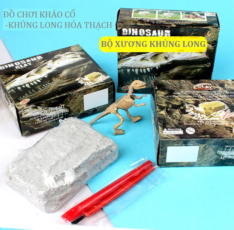 [HCM]Đồ chơi khảo cổ bộ xương khủng long hóa thạch chôn vùi dưới đất