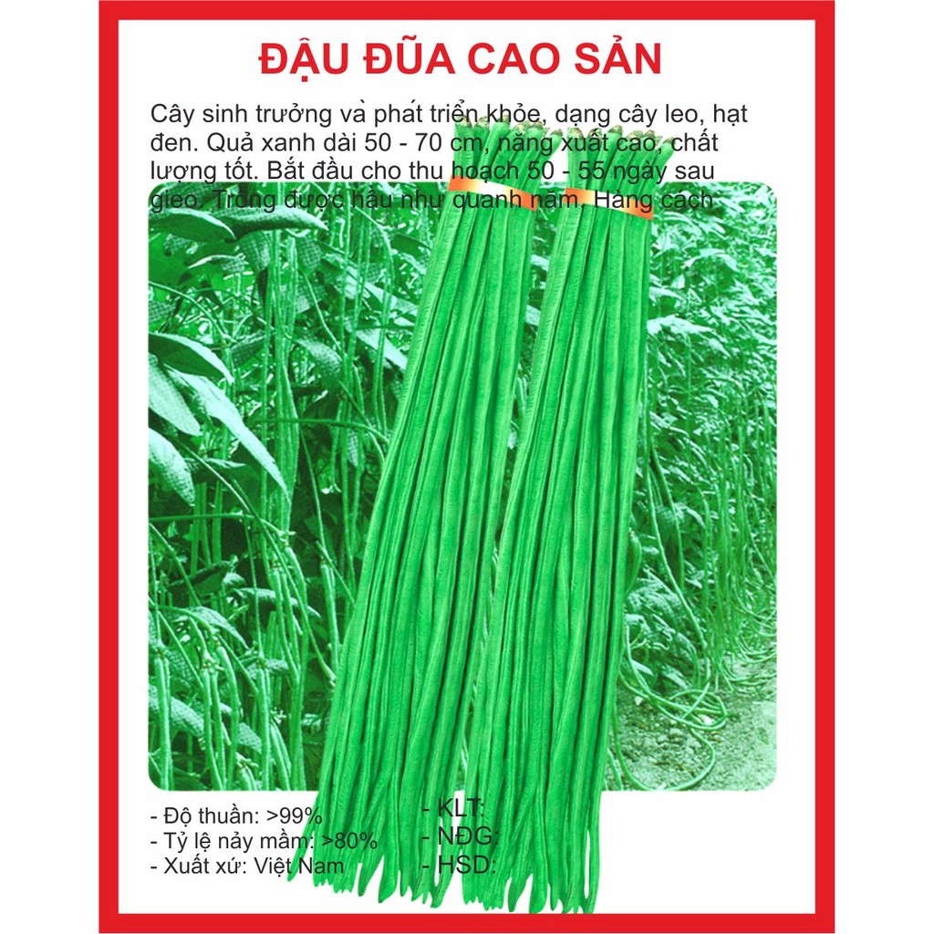 Hạt giống đậu đũa 20gram