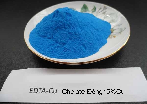 Chelate đồng _ edta-cu cho cây trồng
