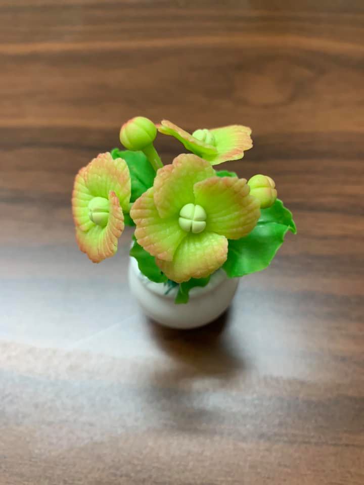 Chậu hoa đất sét mini thủ công handmade