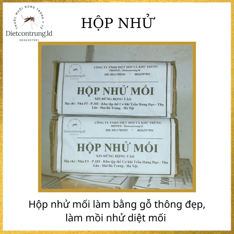 Hộp nhử mối làm bằng gỗ thông - dẫn dụ mối