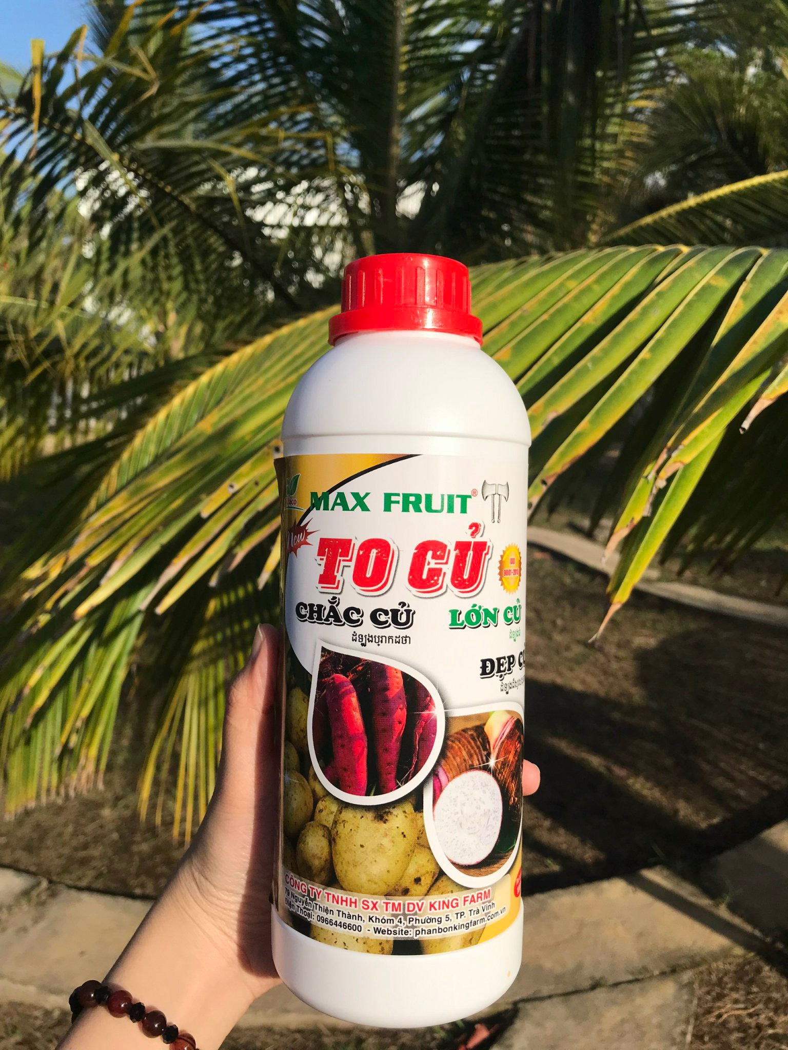 Phân bón siêu to củ max fruit chai 1 lít - giúp to củ, đẹp củ, chắc củ chuyên dùng cho các loại cây lương thực có củ