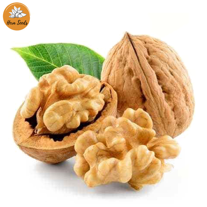 Hạt óc chó mỹ cao cấp 500g