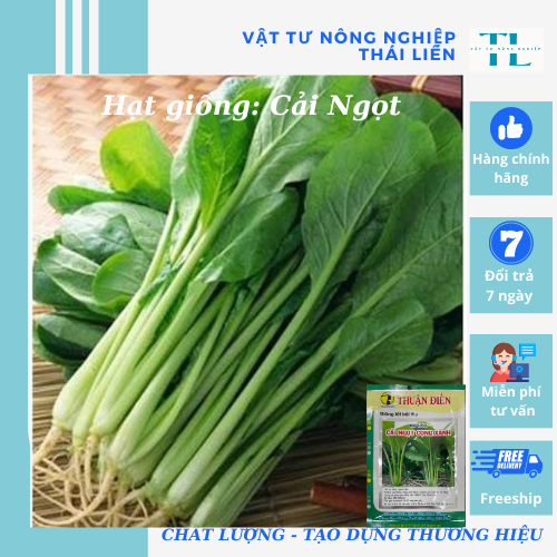 Hạt giống cải ngọt cọng xanh, hàng công ty Thuận Điền