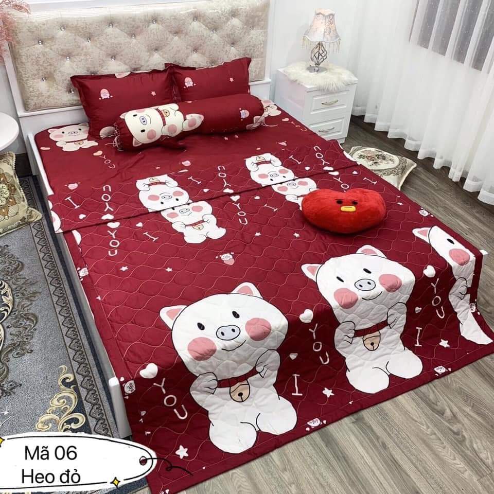 Bộ chăn ga gối hè thu 5 món