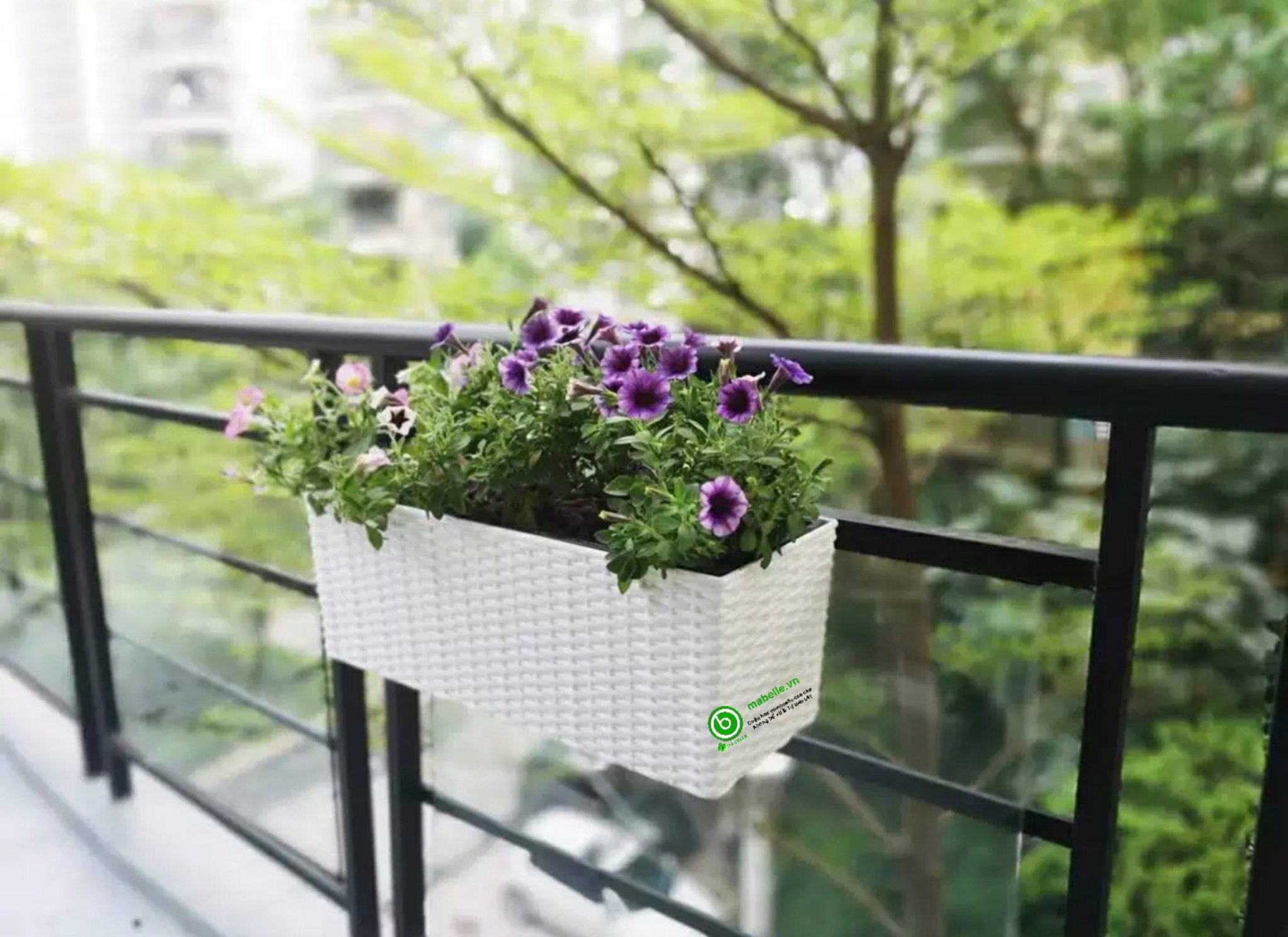 [HCM]Chậu treo ban công chậu gắn tường tự tưới thông minh