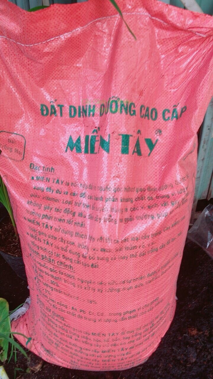 Bao đất trồng cây