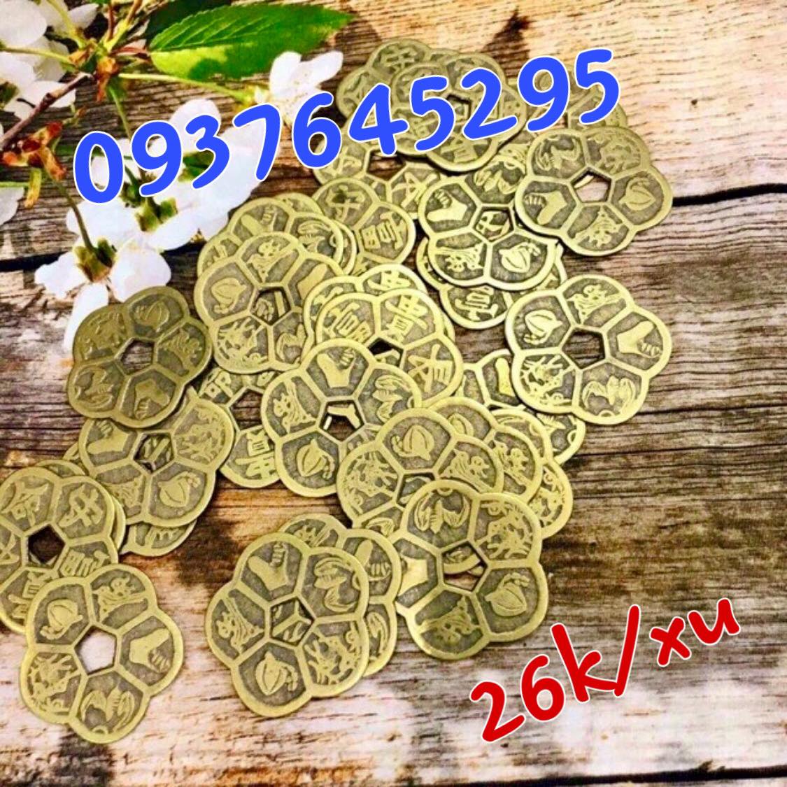Hoa mai kim tiền (đồng xu cổ hình hoa mai)