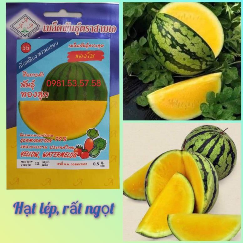 Hạt giống dưa hấu ruột vàng hạt lép thái lan