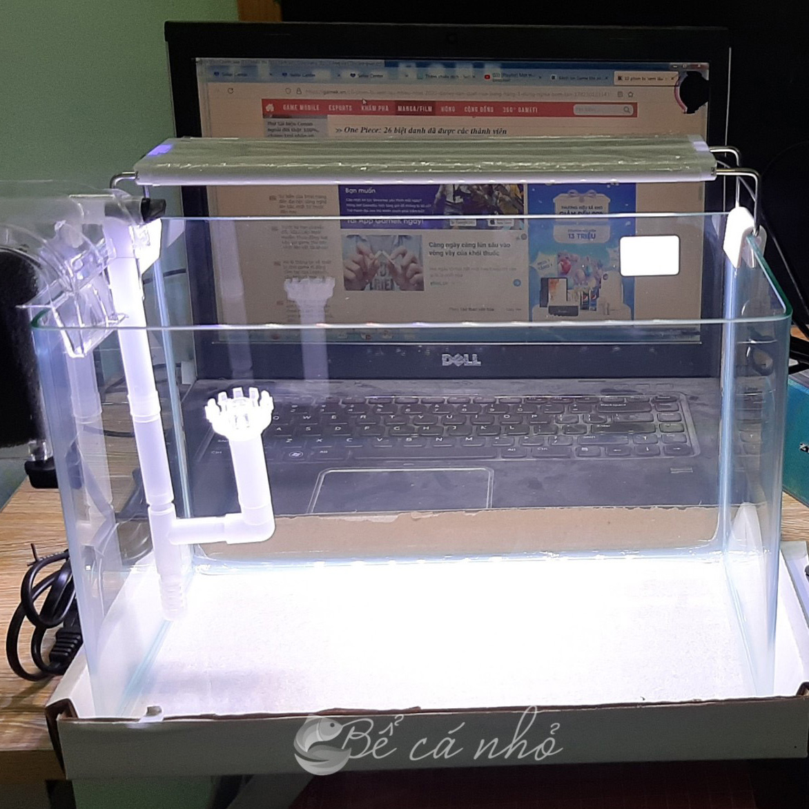 Bể cá đúc 30x18x20 cm mini để bàn