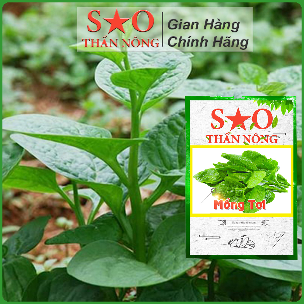 10g Hạt Giống Rau Mồng Tơi cao sản - Hạt giống rau Sao thần Nông