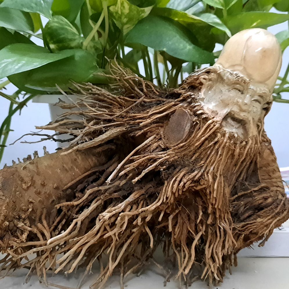 Tượng gốc tre điêu khắc nghệ thuật