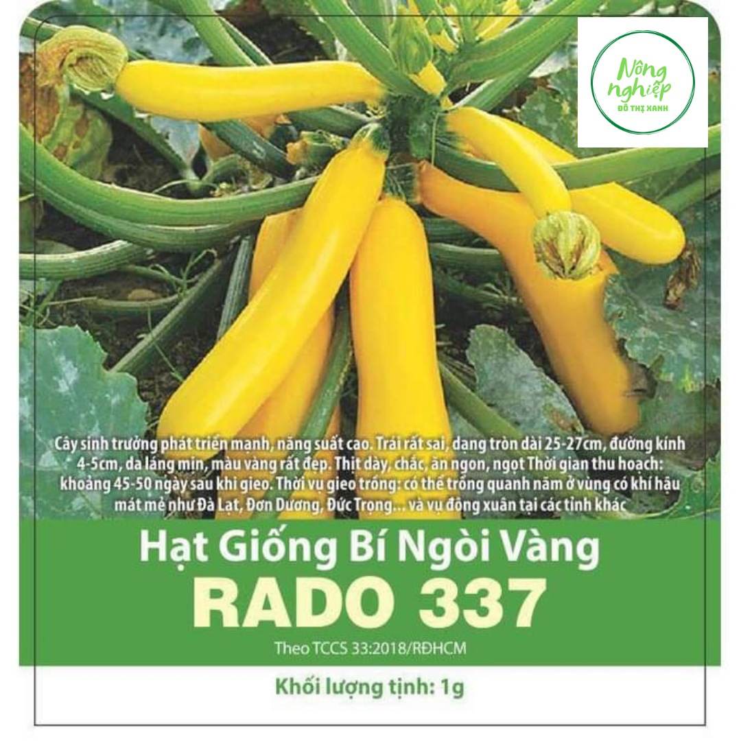 Hạt giống bí ngòi vàng f1 dễ trồng, năng suất cao