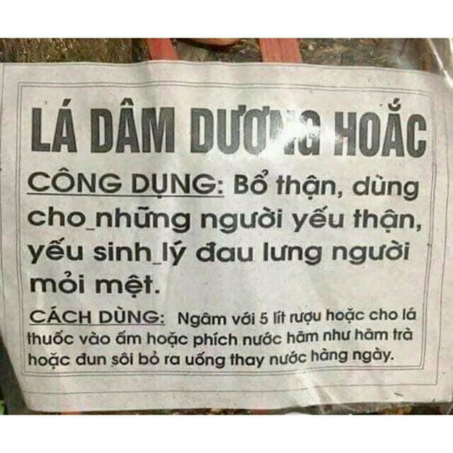 250g lá dâm dương hoắc khô