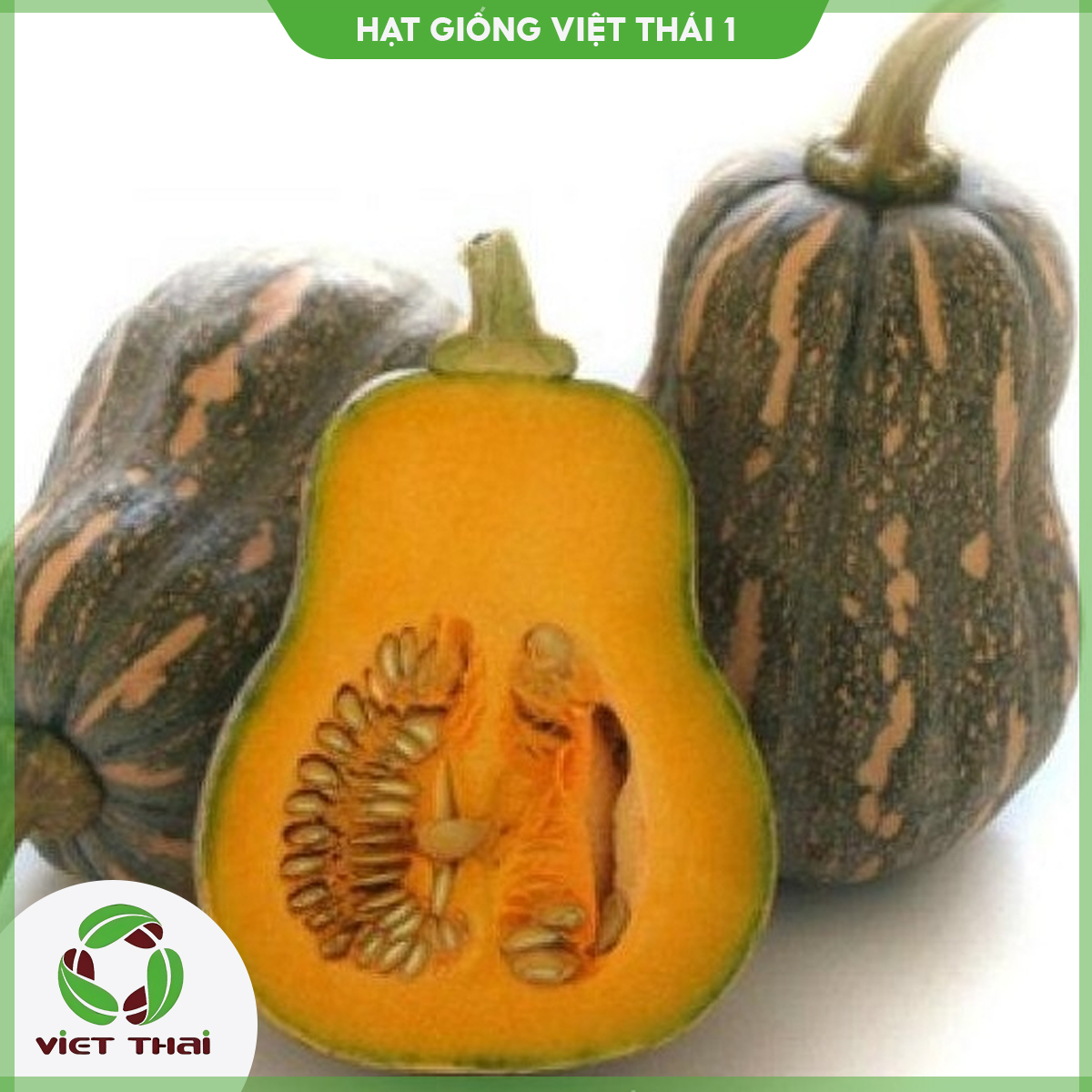 Hạt giống bí đỏ tn - 01 - hgvt1