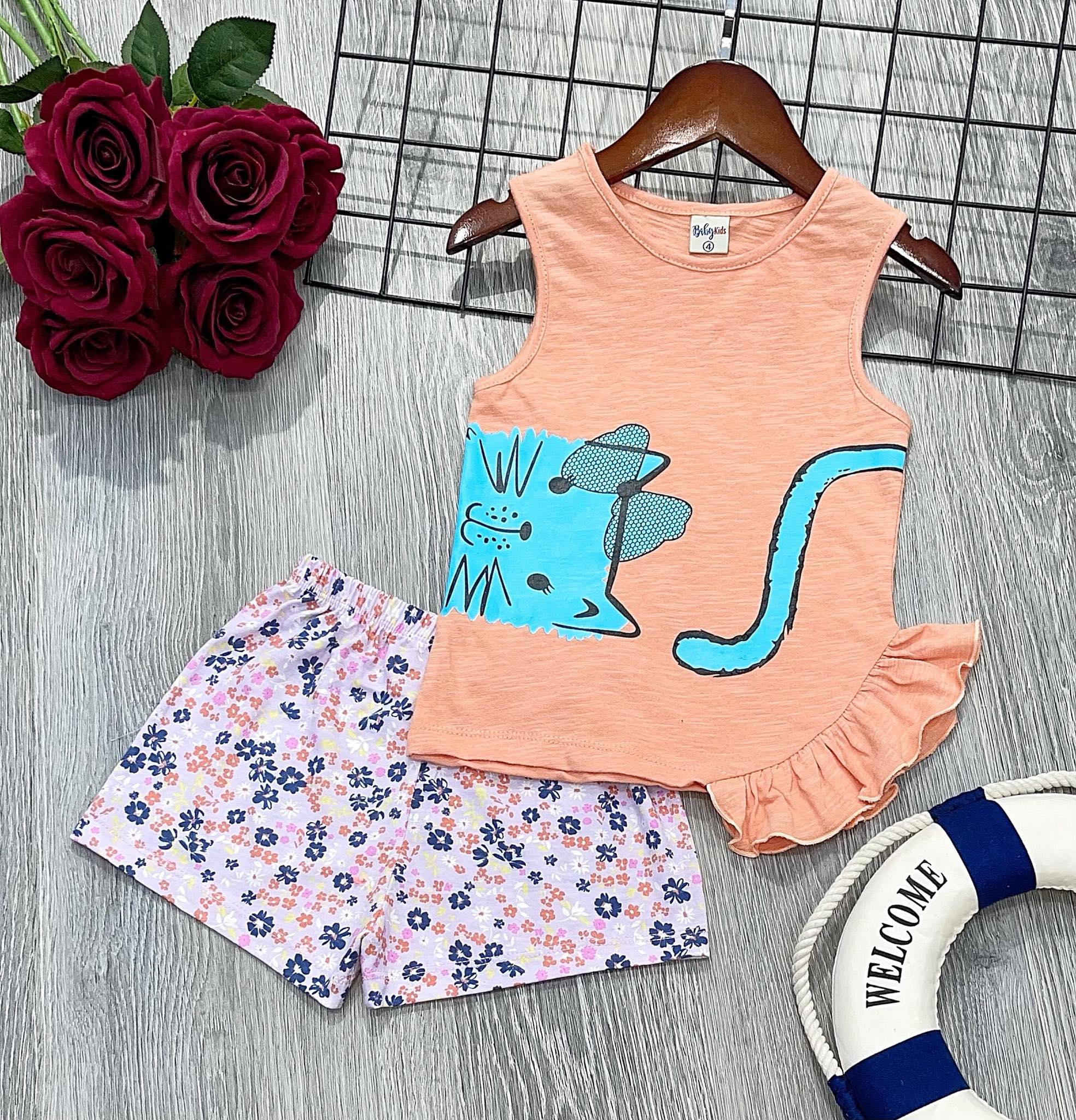 Bộ quần áo dễ thương cho Bé Gái 9-24kg- Chất cotton mịn đẹp- Đồ bộ bé gái (Ảnh Thật)