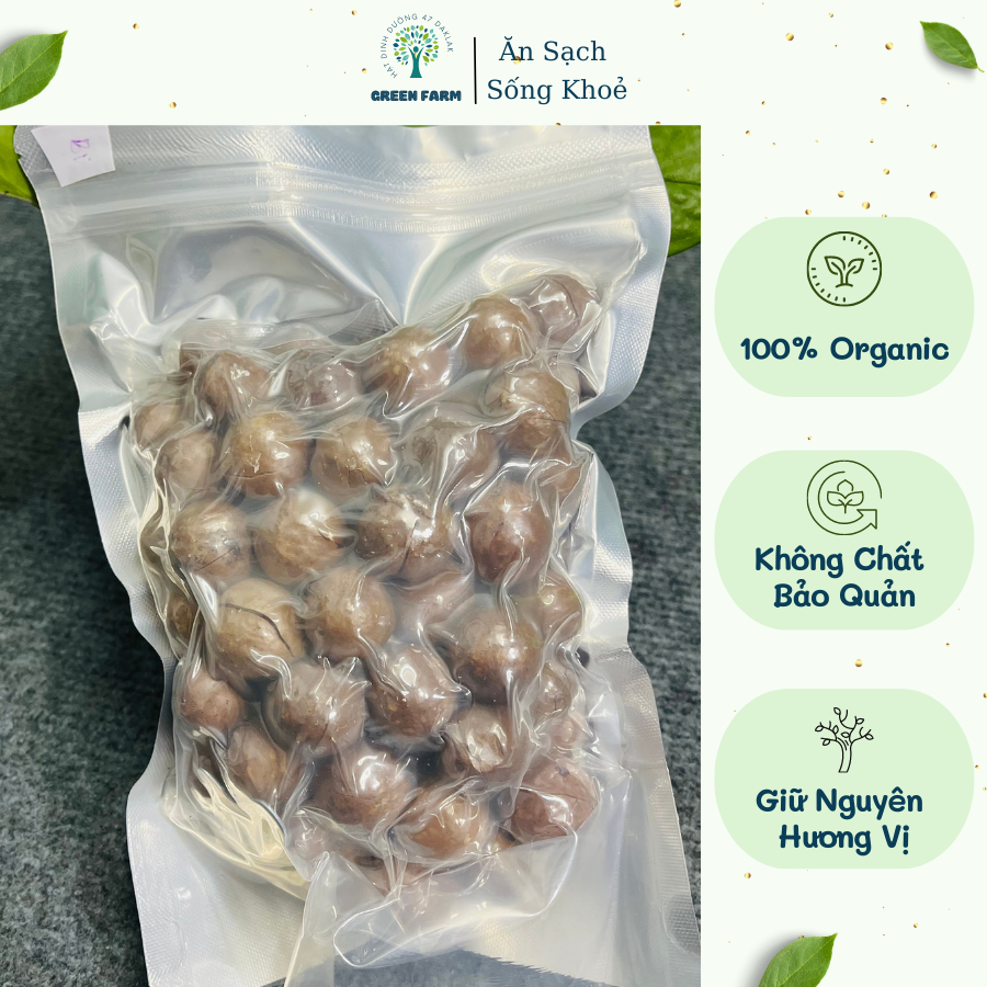 Hạt mắc ca daklak sấy nứt vỏ ĐăkLăk thơm ngon, Hạt Macca Organic Nhà Trồng size 19-23mm Green Farm