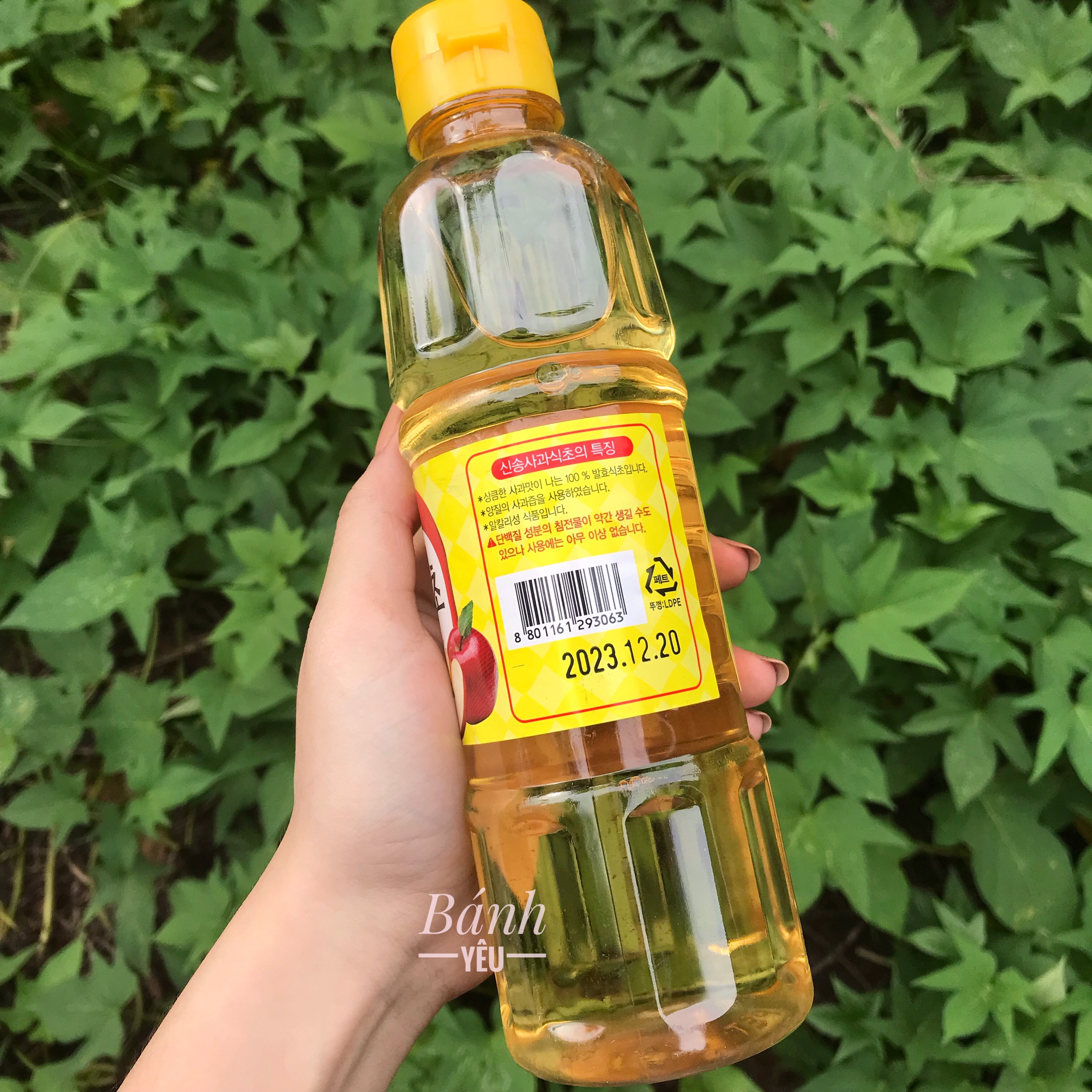 Giấm Táo Hàn Quốc SinSong Vinegar 500ml Giấm Táo Lên Men Tự Nhiên