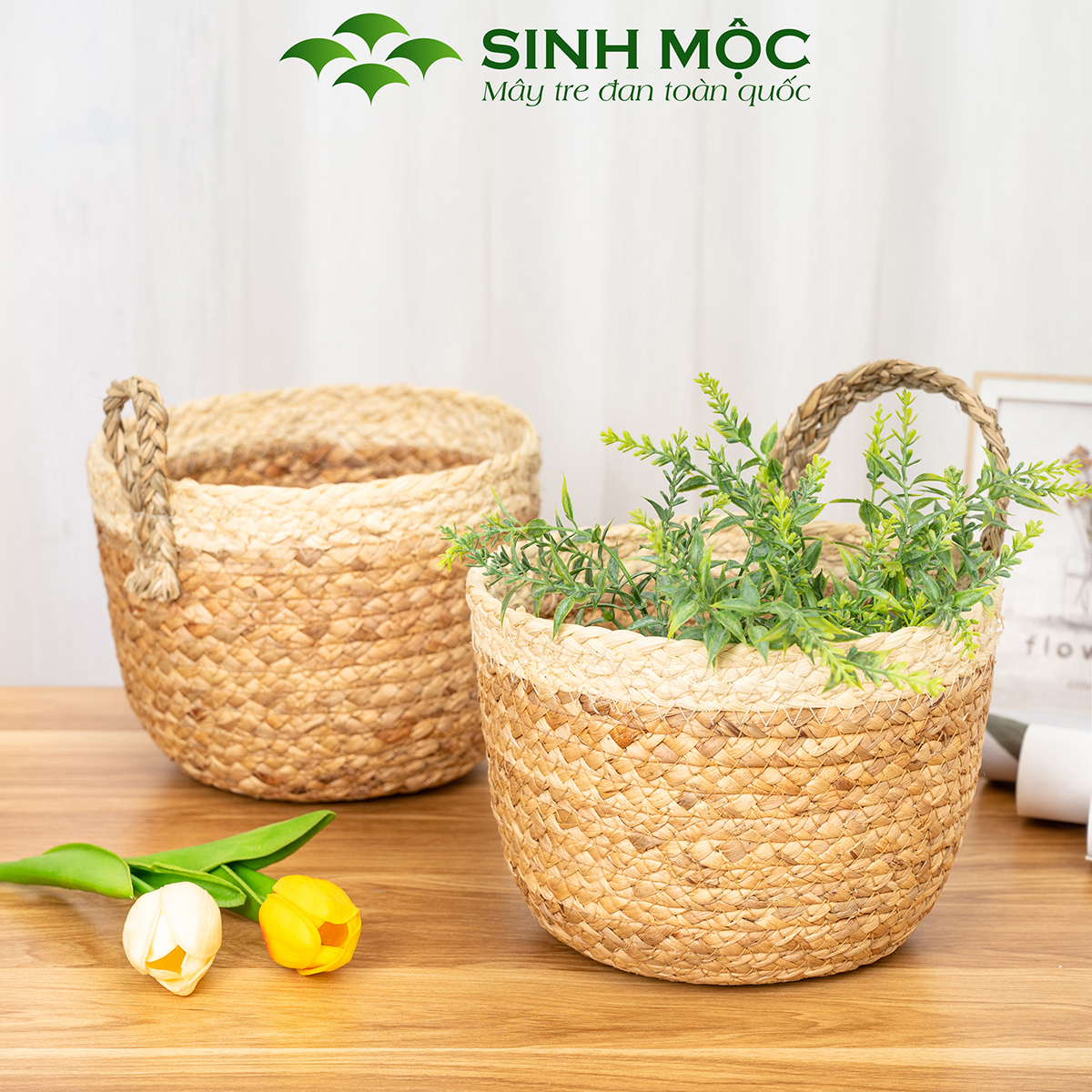 Giỏ bèo trồng cây siêu dễ thương, decor lục bình để bàn, treo tường Sinh Mộc - M1006