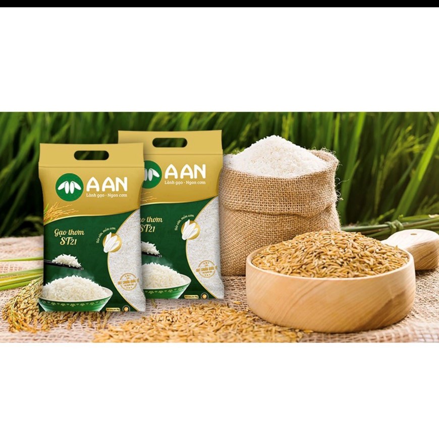 Gạo Thơm ST21 A AN Túi 5Kg - Đặc sản Sóc Trăng - Thơm hoa lài nhẹ, cơm ngọt, rất dẻo, để nguội vẫn mềm