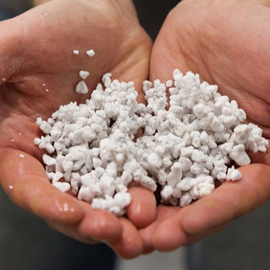 Đá perlite - đá trân châu trồng cây, trang trí