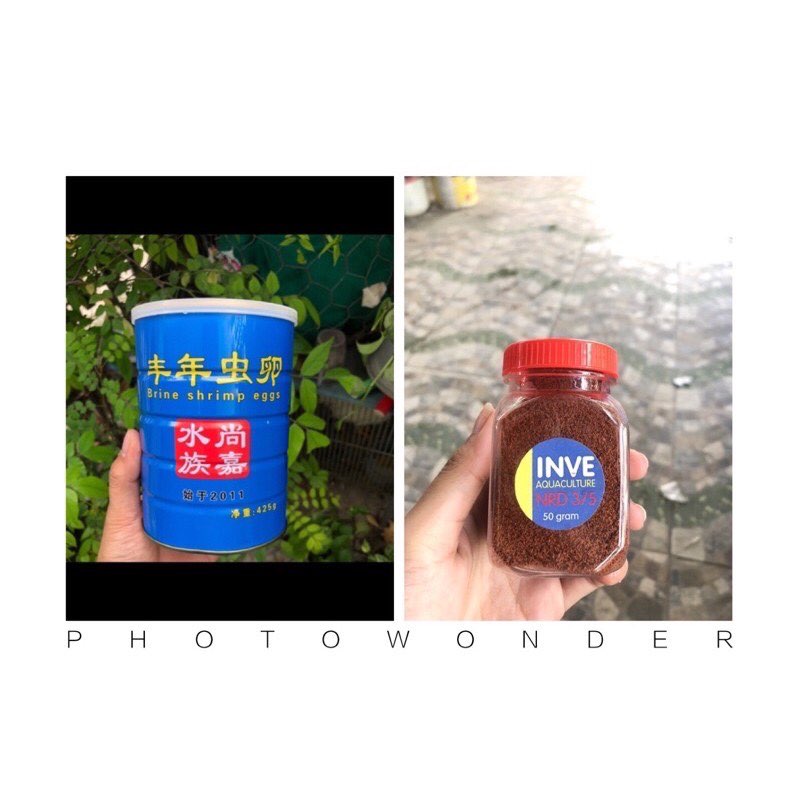 50gram trứng atermia trung quốc và 50gram cám thái 3/5
