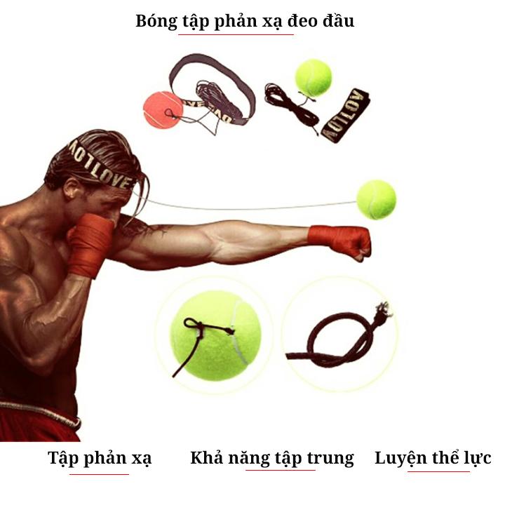 Bóng đấm boxing tập phản xạ đeo đầu FX301