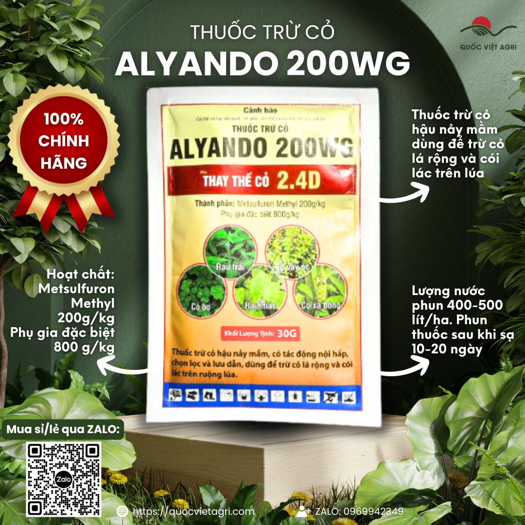  Thuốc trừ cỏ ALYANDO 200WG thay thế cỏ 2.4D  gói 30g  - Metsulfuron Methyl 200g kg GIAO NGẪU NHIÊN ALY GOLD Trị cỏ còi cỏ lác cỏ lá rộng có chọn lọc GIAO NGẪU NHIÊN ALYRICE 