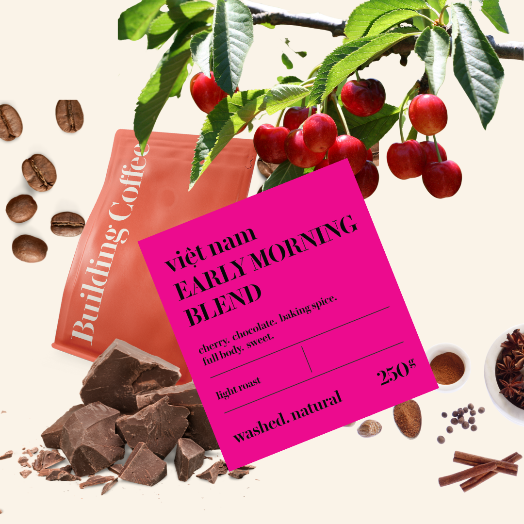 Early morning blend - cà phê arabica từ việt nam - building coffee