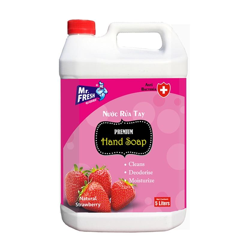 Nước rửa tay premium hand soap mr fresh korea 5l hls458