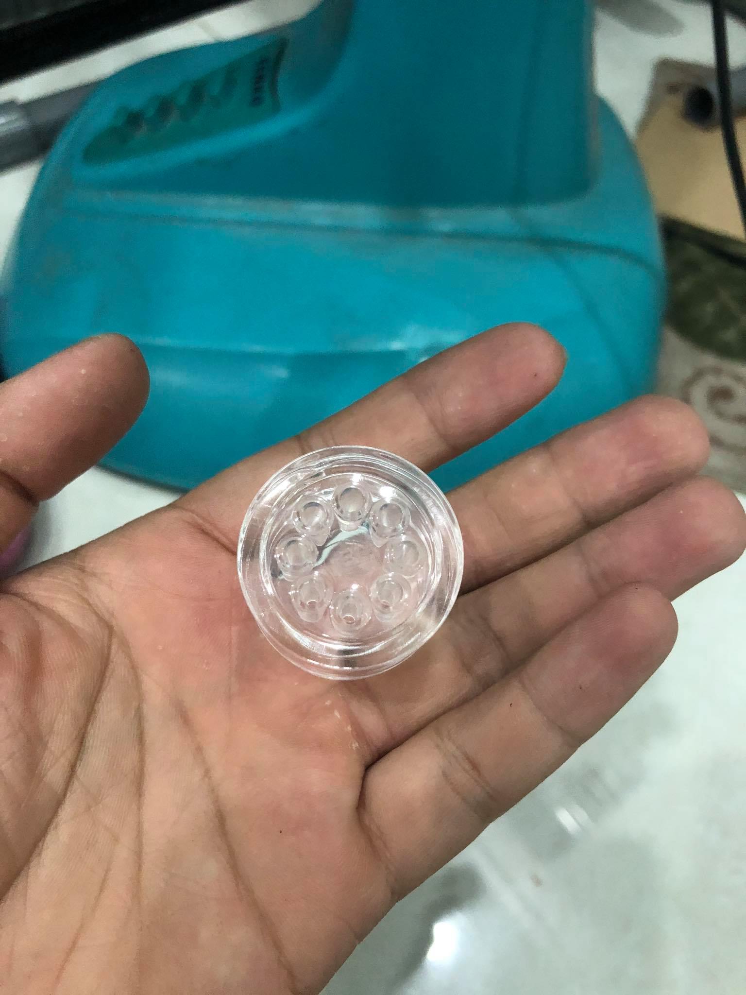 Bẫy sán cho hồ tép cảnh và hồ thủy sinh an toàn
