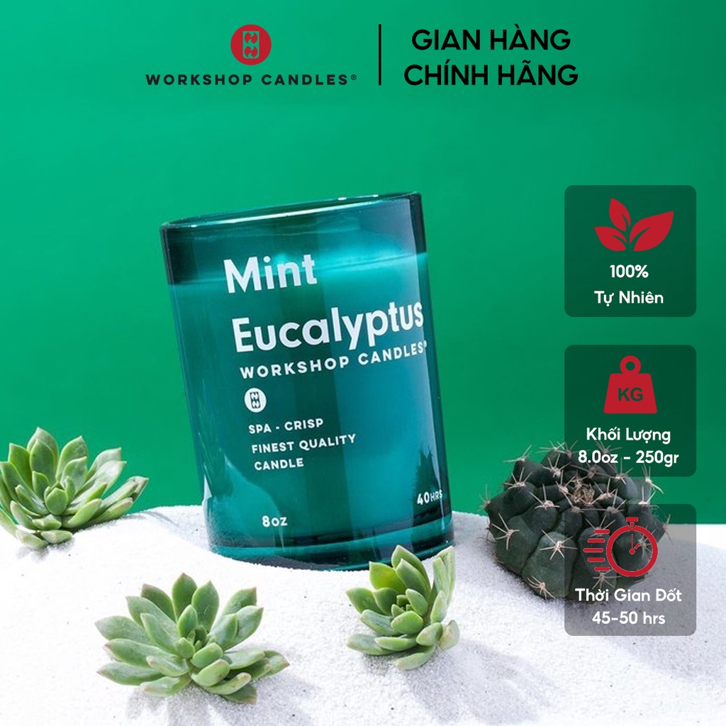 Workshop Candles - Nến thơm Fresh Eucalyptus 8oz