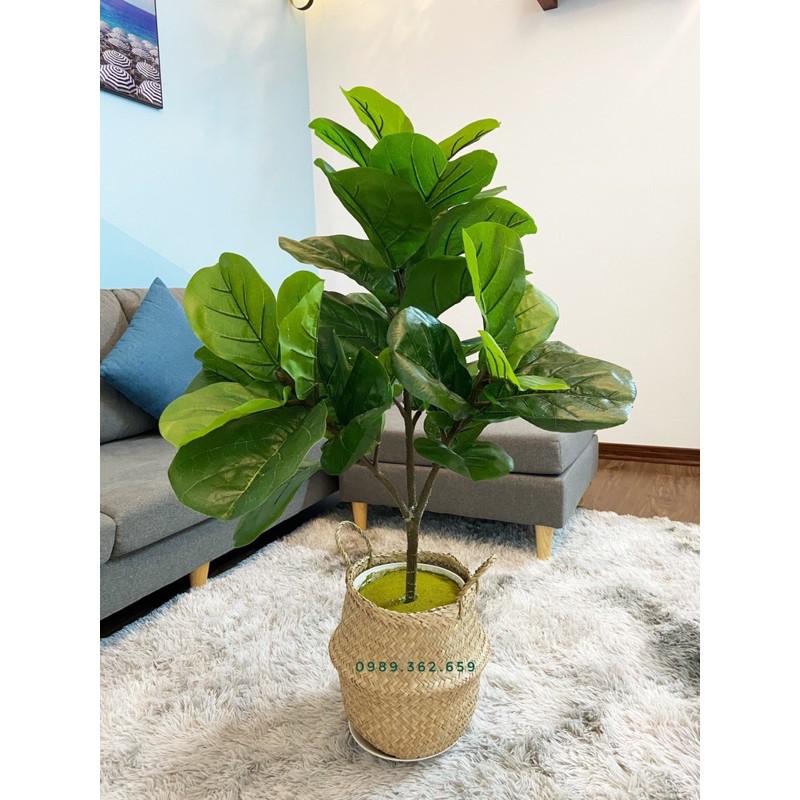 Cây bàng singapo 1m - cây giả 3 nhánh lá to