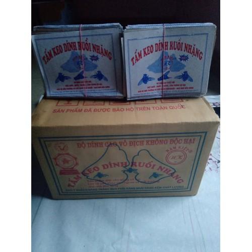 500 miếng Keo dính ruồi