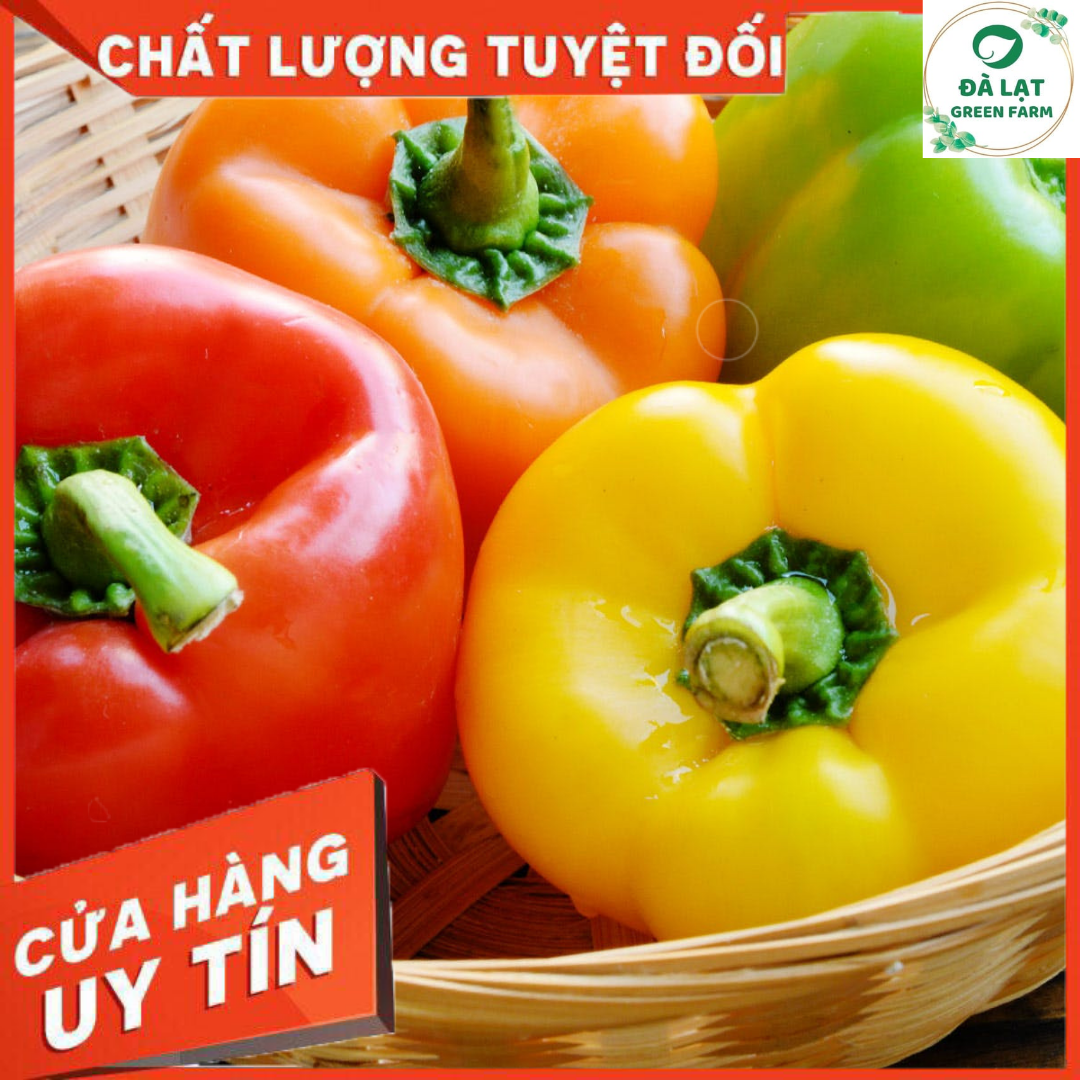 40h_hạt giống ớt chuông nhiều màu