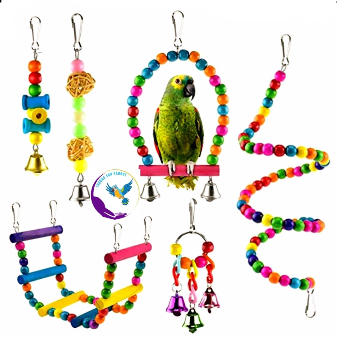  Combo 6 món đồ chơi treo lồng cho vẹt sóc chuột hamster và chim cảnh khác  mã 002  