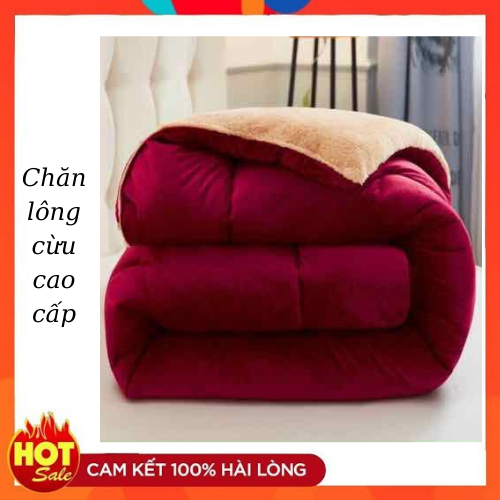 Chăn Lông Cừu Việt Nam 3 Lớp Loại 1 Cao Cấp Siêu Ấm