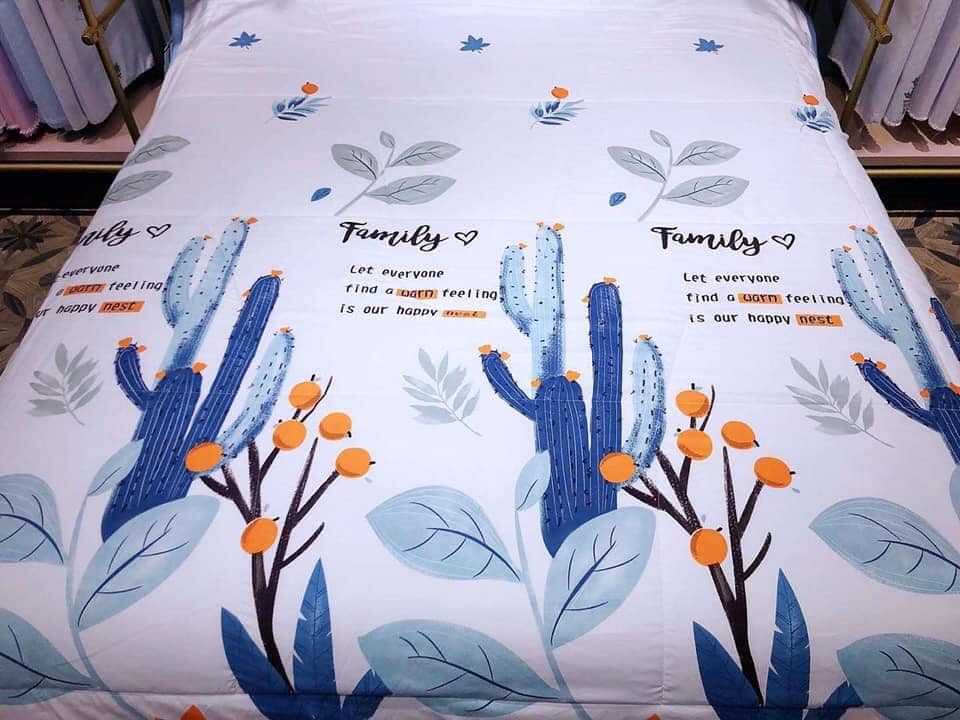 Chăn hè zara home cao cấp siêu mềm, chăn đũi hè kiếu dáng sang trọng, nhẹ nhàng, mềm mịn. chất liệu cotton thoáng mát, kích thước 2m*2m3, chăn văn phòng, chăn tuyết, chăn bông điều hòa