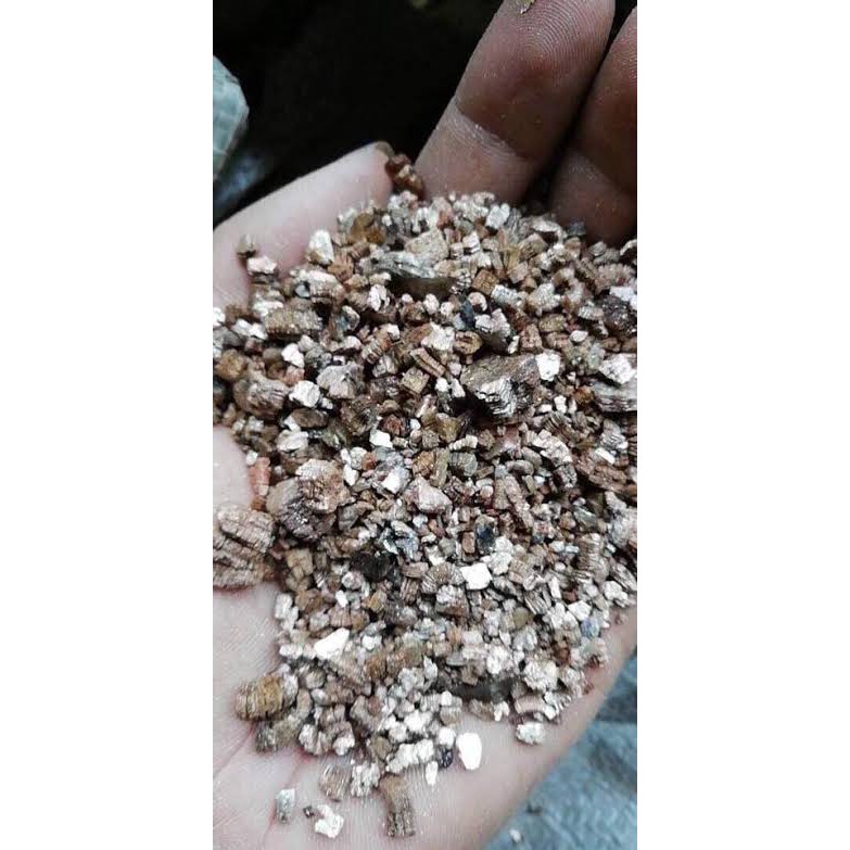 Đá Vermiculite túi 10 lít