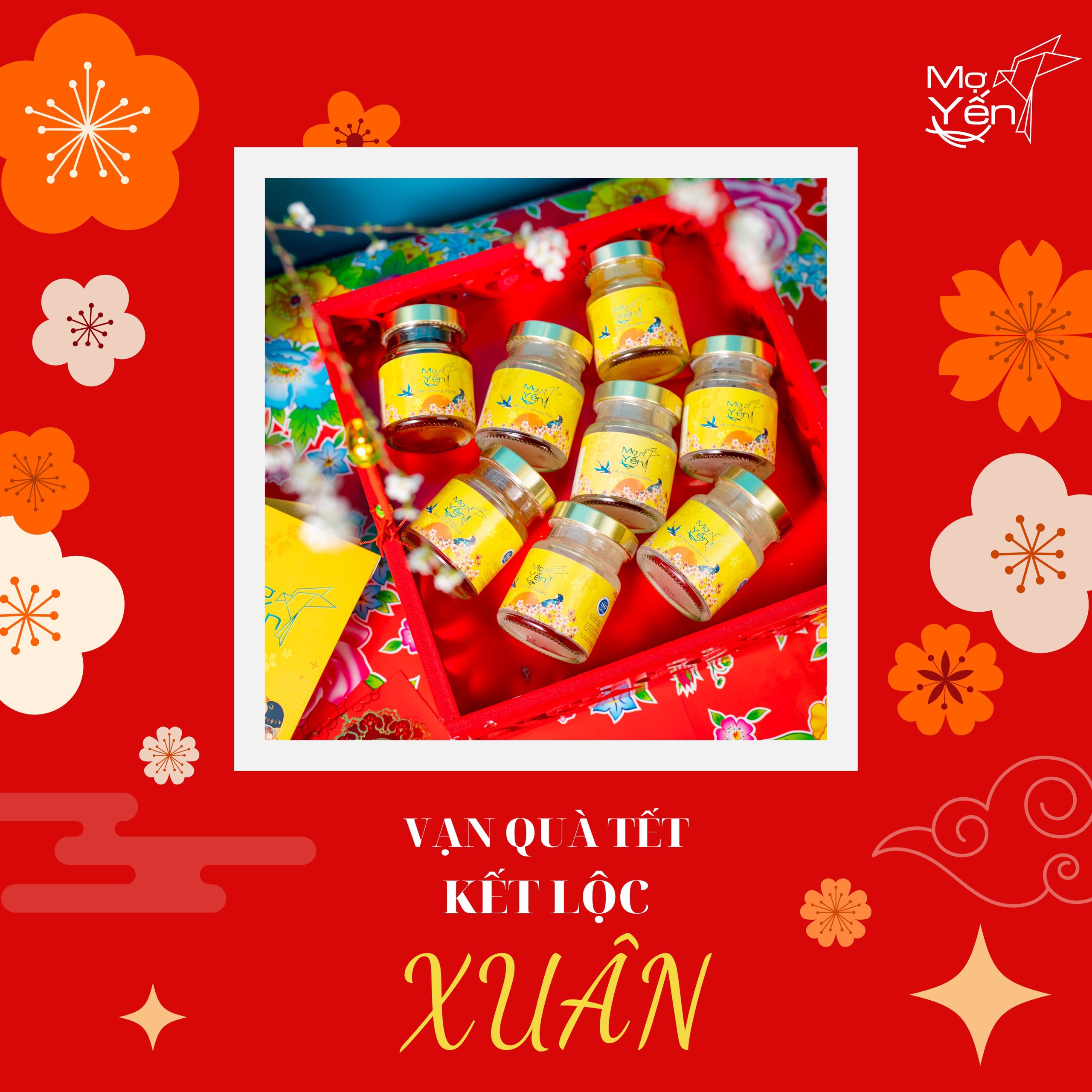 Set 10 hủ yến sào đủ vị