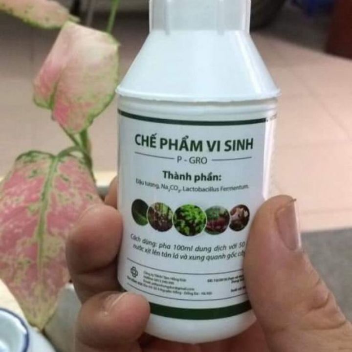 Chế Phẩm Vi Sinh Hữu Cơ P-GRO Trừ Nấm Sâu Bệnh siêu chất lượng