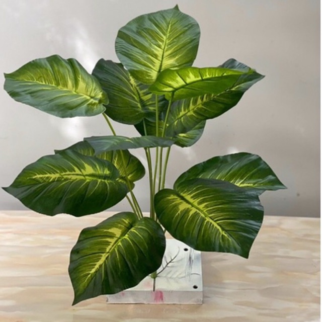 Cây giả/ Cây trầu bà lá đốm các mẫu dài 55 cm 12 lá, kích thước lá 18 cm