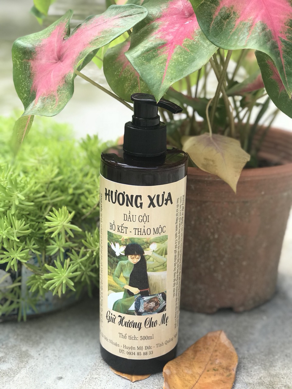 Dầu gội Bồ kết thảo dược bồ hòn hương nhu Hương Xưa ngăn rụng tóc, giúp tóc dài và bóng mượt