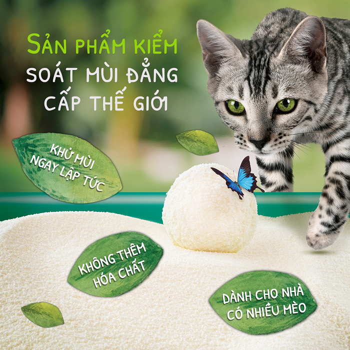 Sustainably Yours Cát vệ sinh hữu cơ cho mèo 5.9KG các loại