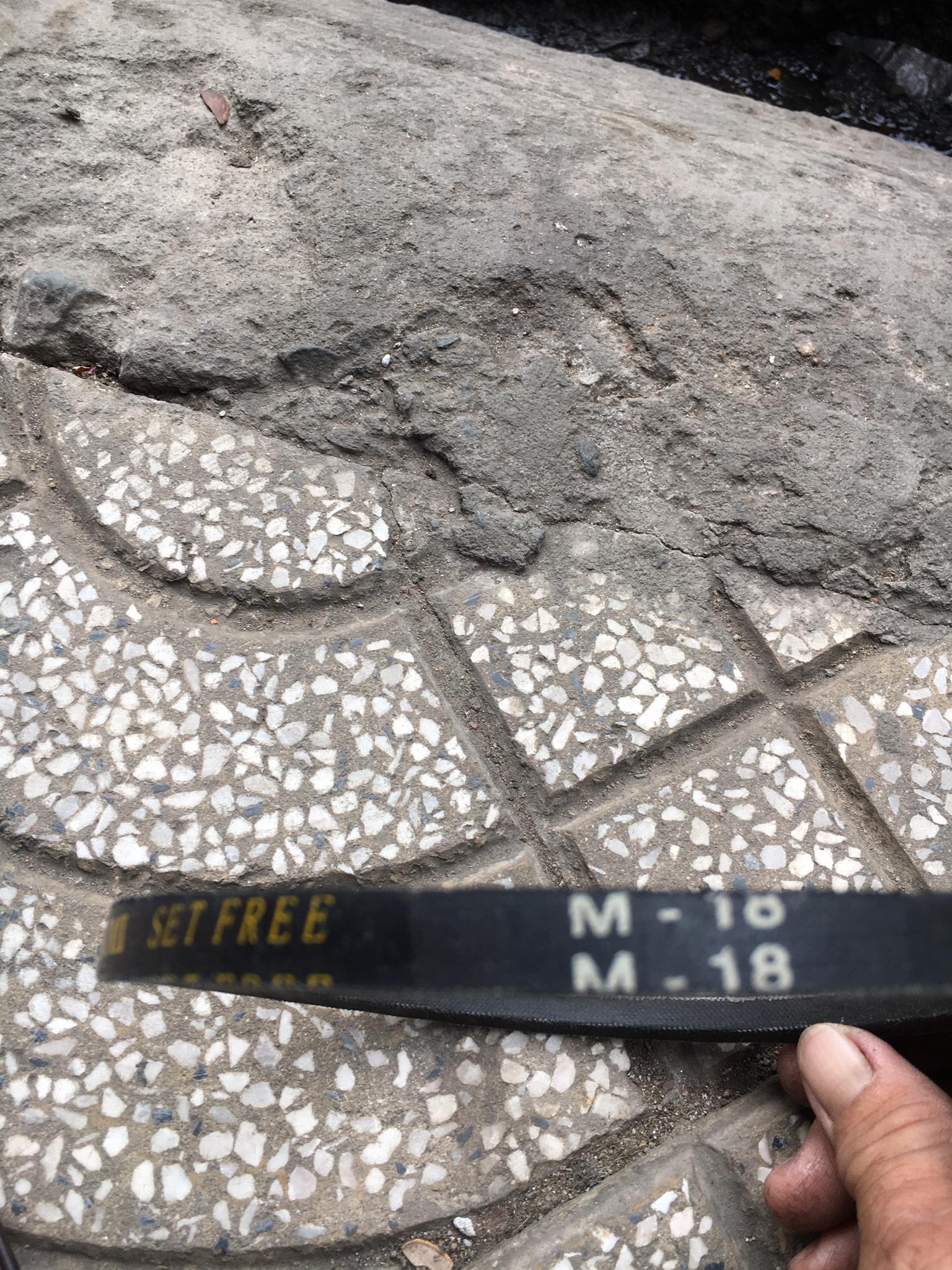 [HCM]Dây Curoa máy giặt đứng M18 M18.5 M19 M20 M20.5 M21 M22...