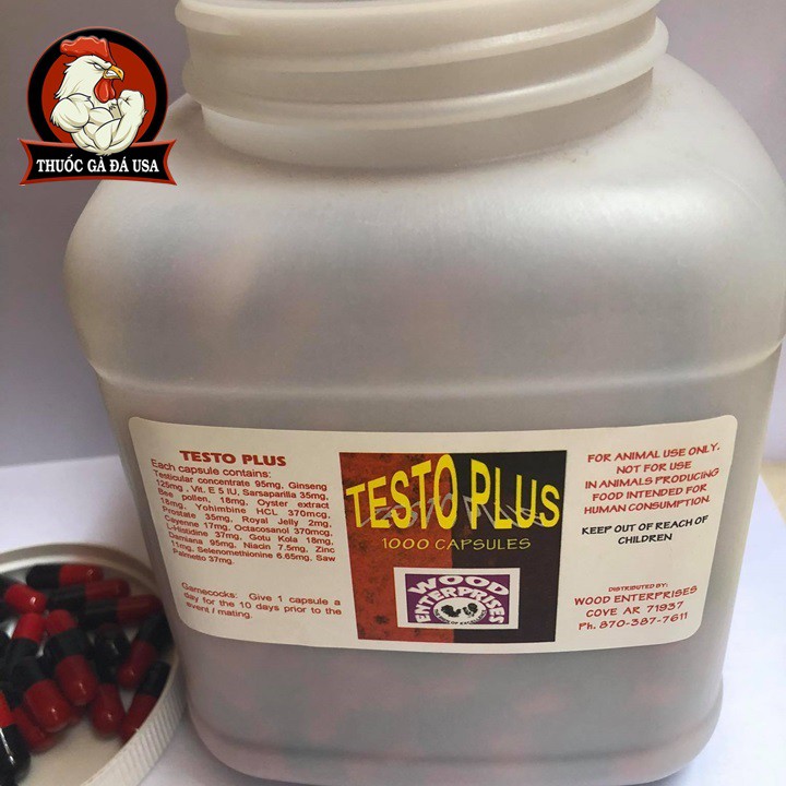 Testo plus cho gà đá - lẻ x 10 20 viên 50 viên - lẻ 20 viên